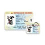 Pasaporte para mascotas